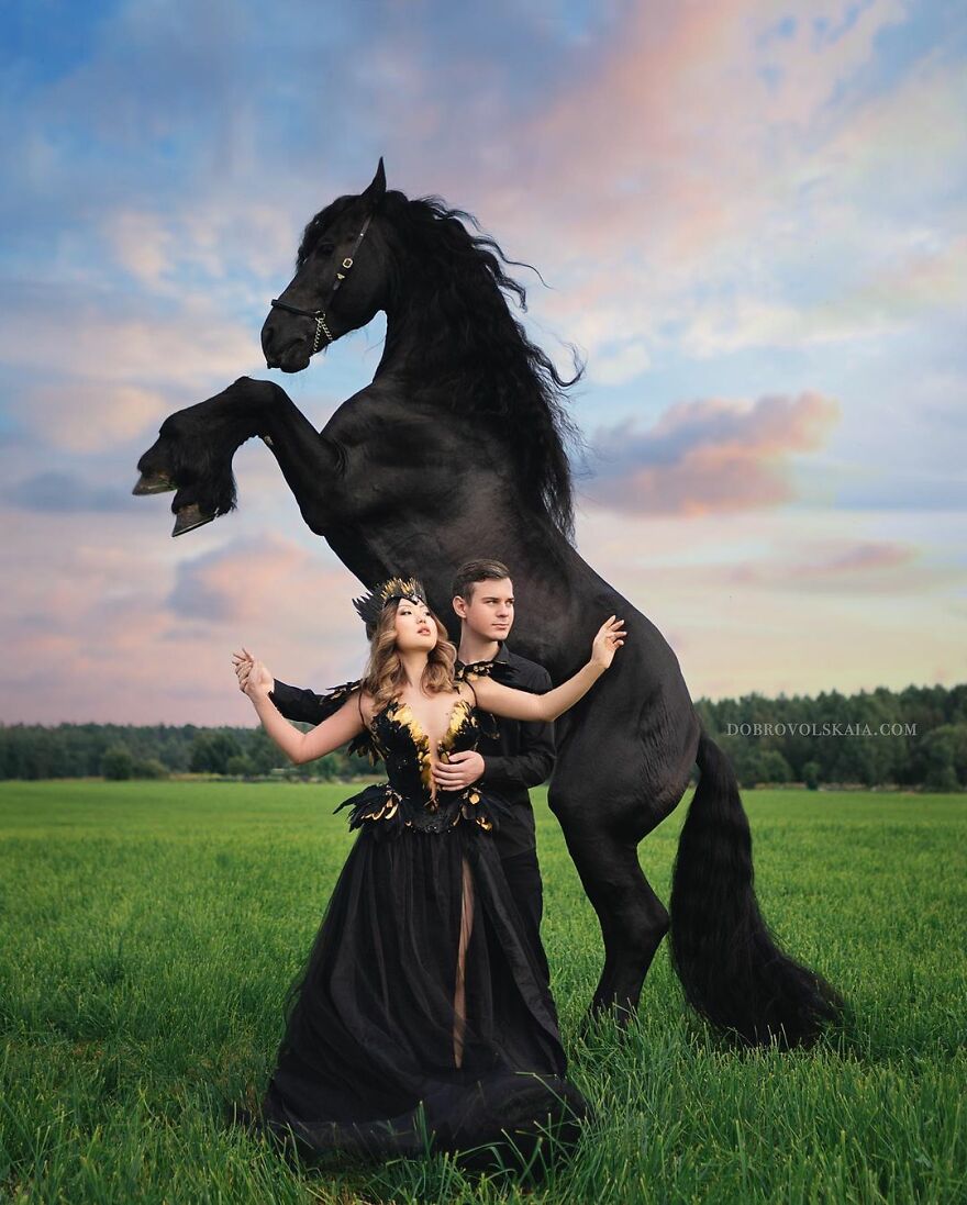 俄罗斯摄影师冰天雪地,拍摄60张美女与野兽,熊和老虎是标配