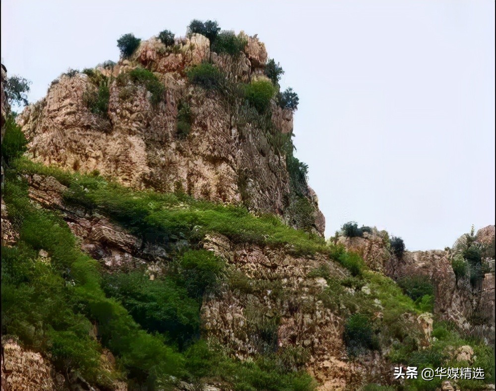 「作家走进乡村」养马甸子乡姑（香菇），流年芬芳（之七）