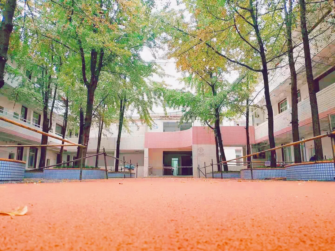 新都区2021秋新投入使用学校之一新都区教科院附属小学