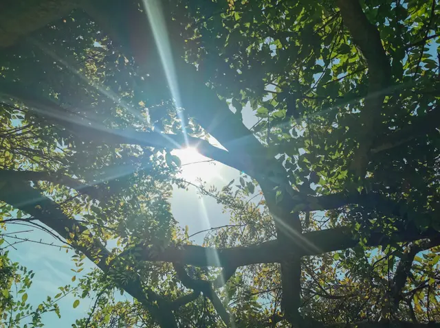 记叙文、说明文解题技巧