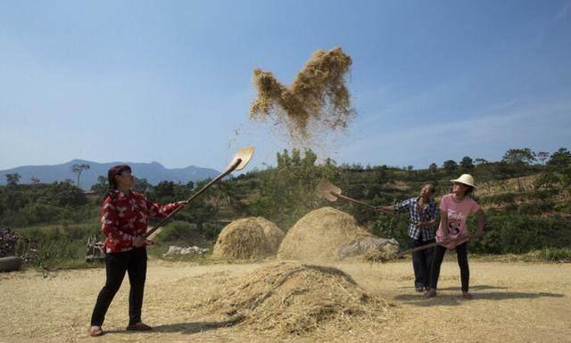 豫北农村民国时期奇案，生意人算卦后跳河自尽，背后是人性的扭曲