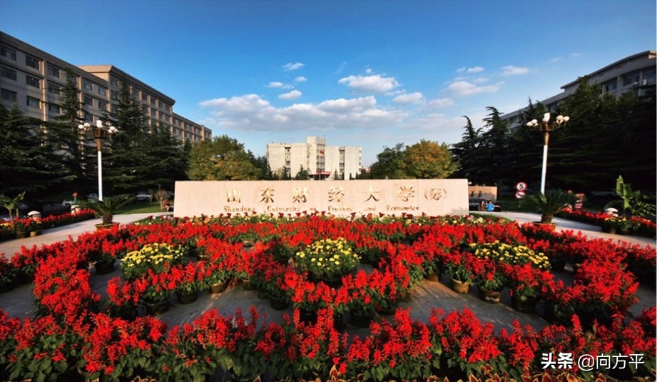 艺术生备考详解：山东省综合排名前10大学美术类招录分析