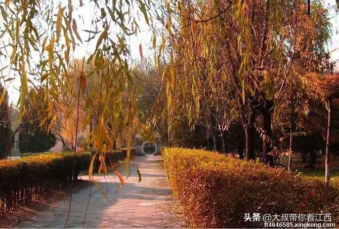 大同医专校园回忆