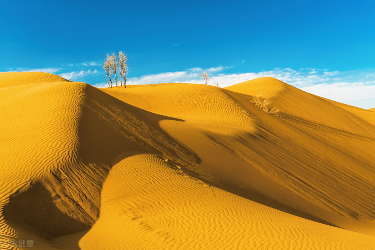1中国首个国家级沙漠生态自然保护区——沙坡头