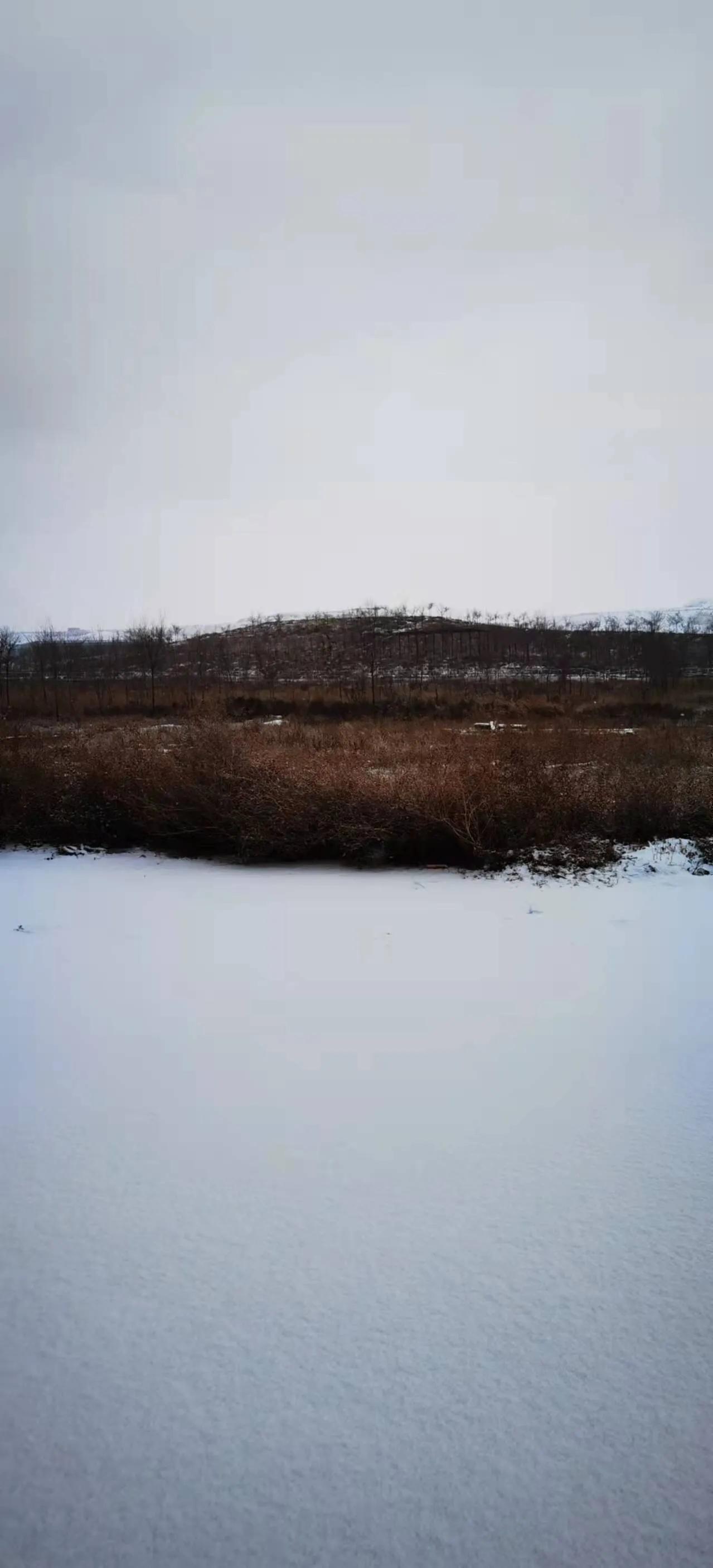 手拍世界（手机摄影平台）-群员作品集（总第733期）