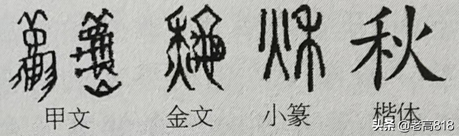春夏秋冬无闲事，平常心自道中来