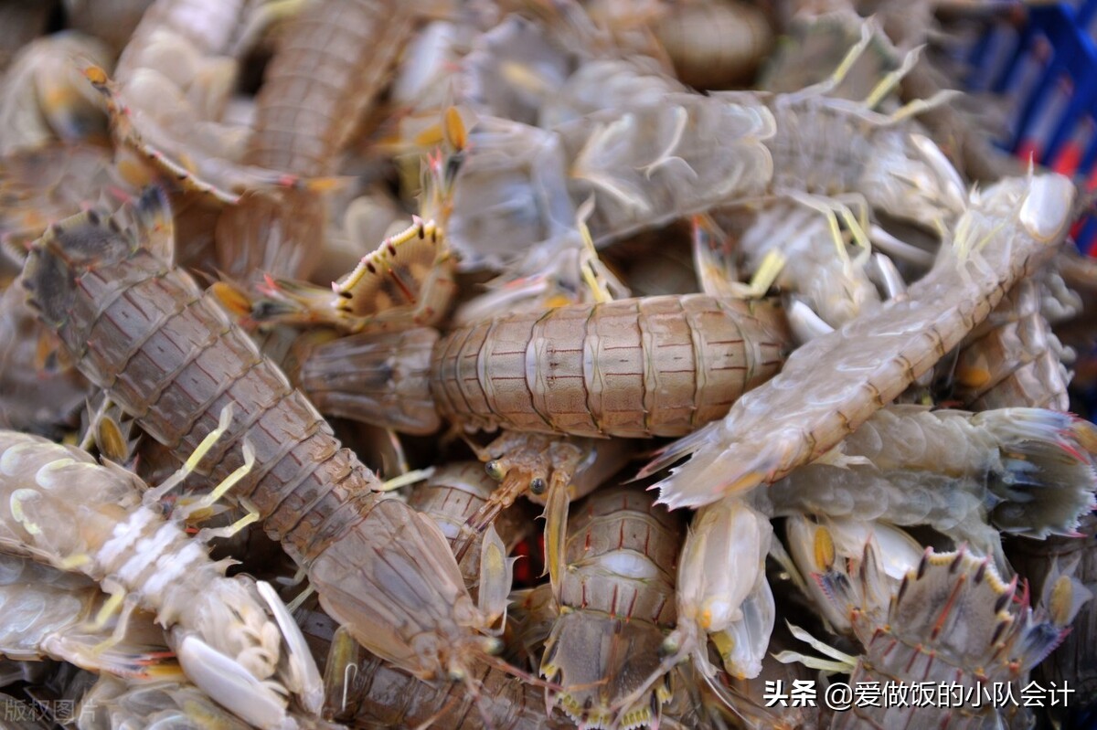 皮皮虾蒸多长时间最好吃（皮皮虾的蒸法技巧及注意事项）