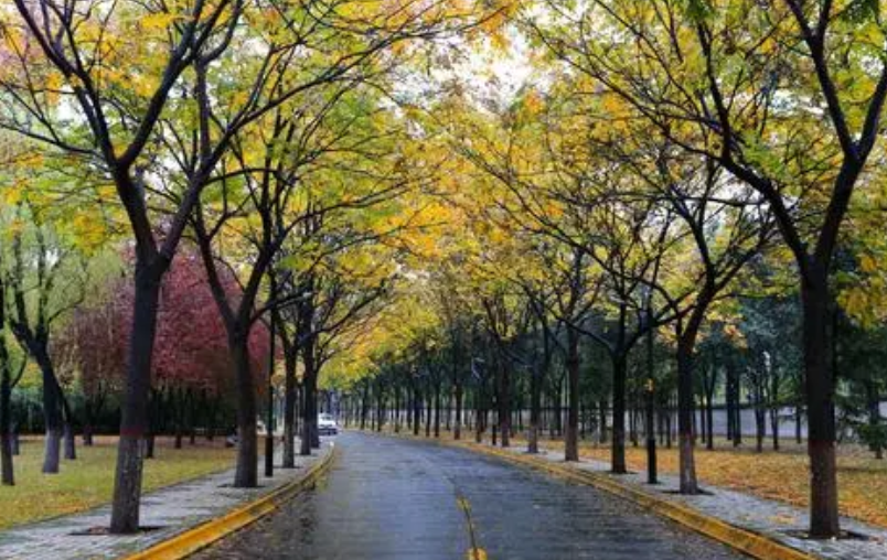 西安有一所“双非”大学，近年来进步很大，值得准大学生们考虑