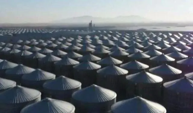 “大国粮仓”究竟存了多少粮？