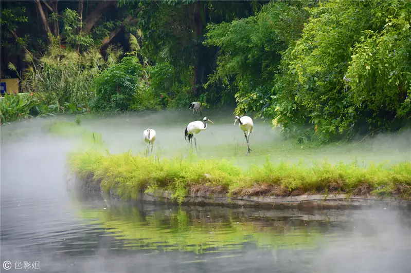 长隆欢乐世界旅游攻略景点必去（三天三夜欢乐长隆之旅）