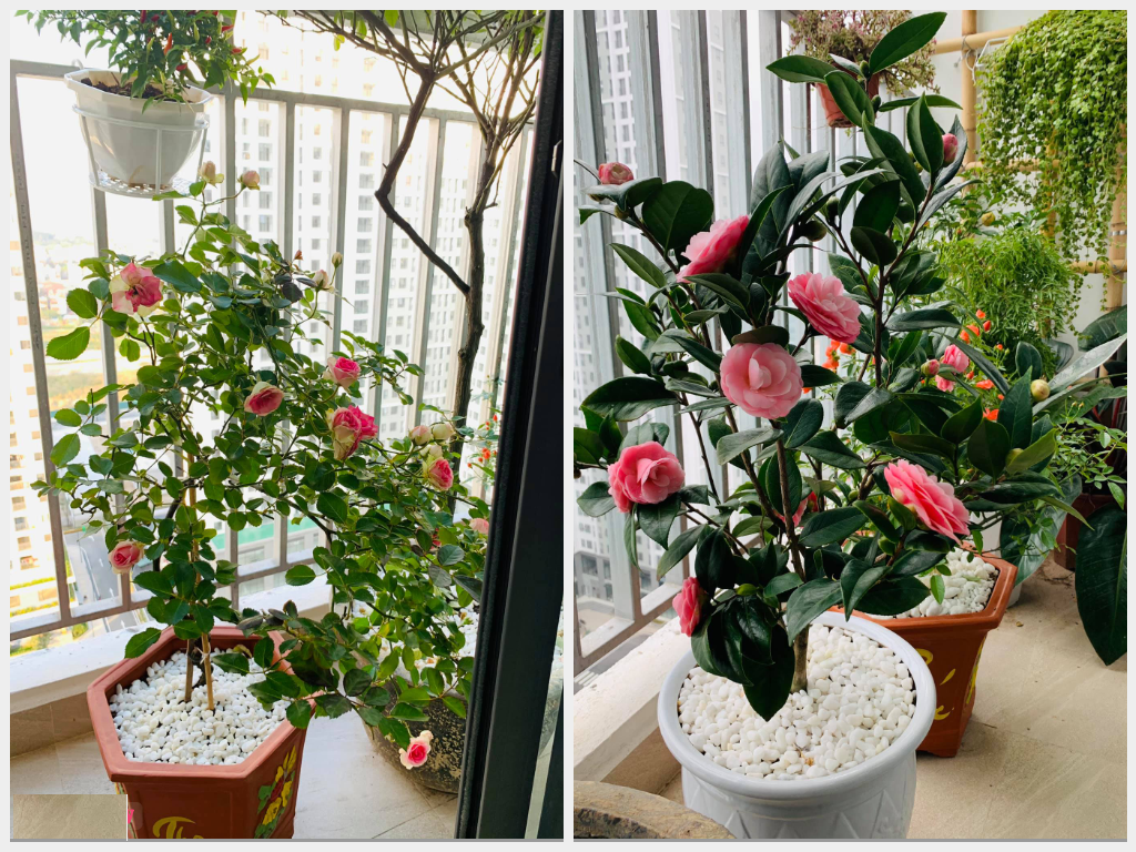 花光積蓄買房，裝潢費能省就省，歷時3個月終於完工，只花了5.5萬