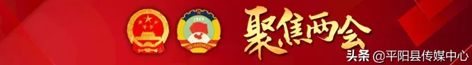平阳县注册公司（秒懂）