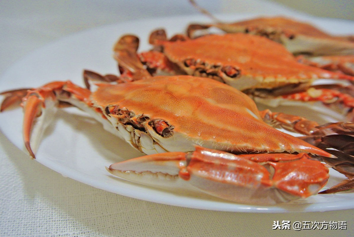 青岛螃蟹大全!建议收藏