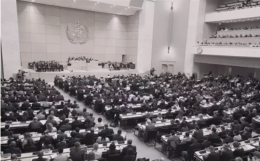 我冒着被你取关的危险，想跟你聊聊中医…