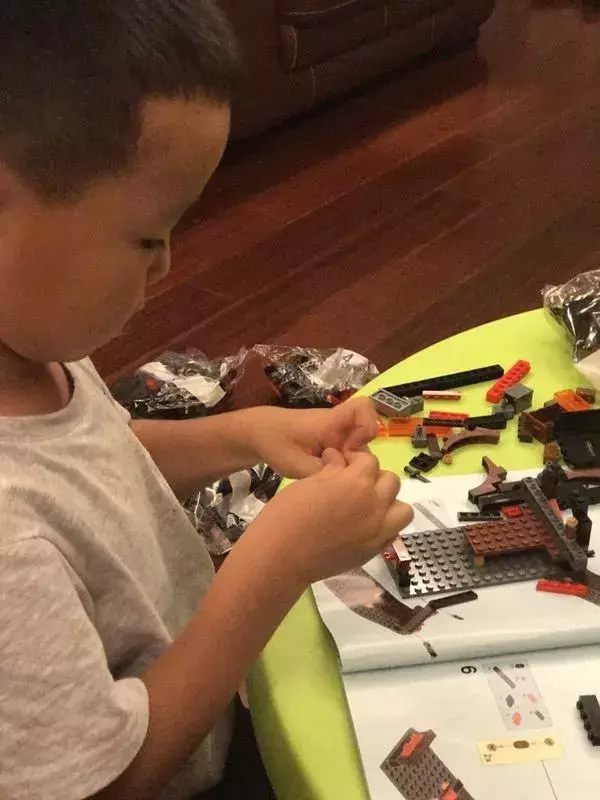 70岁生日礼物推荐：12款适合不同年龄段的乐高套装精选