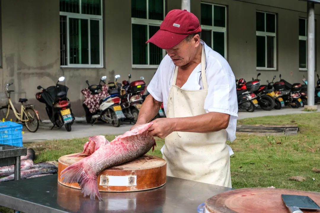 金职喊你免费吃鱼啦