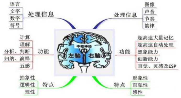 宝宝错过爬行期，影响大脑发育