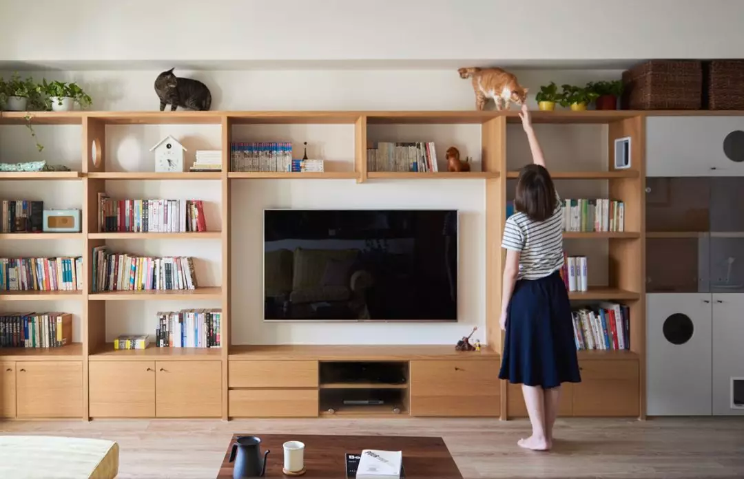 兒童房室內設計兩人兩貓，四室改一室！為貓造遊戲牆，這樣的家貓和人都自由舒展