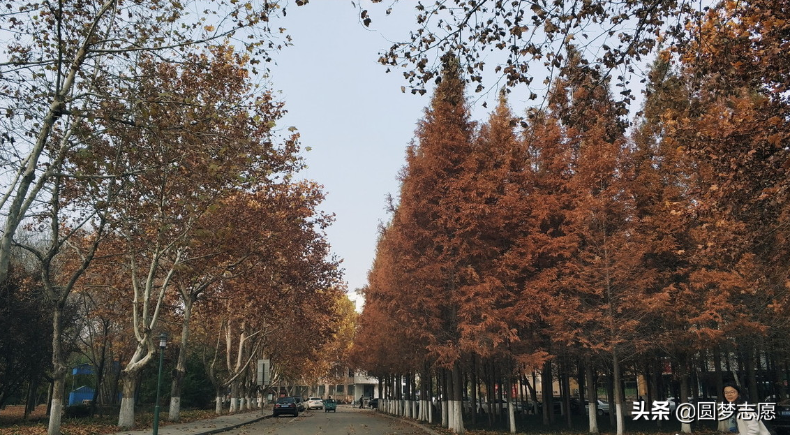 上课可以抽烟！我国9所开设烟草专业的大学（包括两所211）