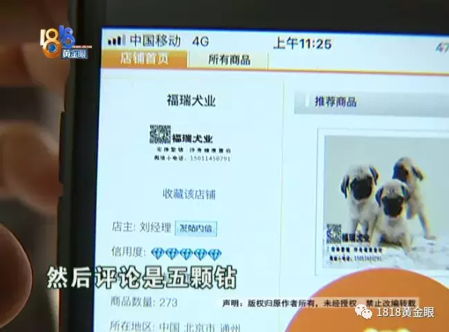 买了公狗收到母狗,卖家说这是“缘分”?