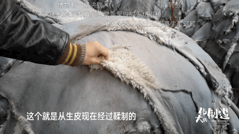 来到“顶级”毛皮一体基地，不用万把块就能拥有的皮草自由