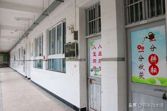 灵溪校园①</p><p>　　嘿！好久不见，甚是想念