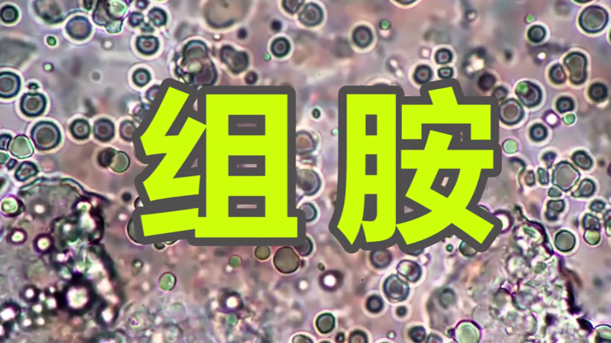 大閘蟹死了能不能吃了,大閘蟹死了能不能吃了有多少危害