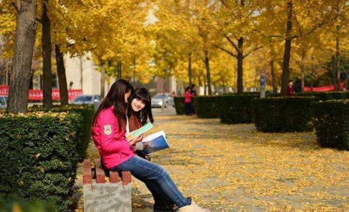 为啥大学期间，很少见到大三、大四的同学？原因无非这几点