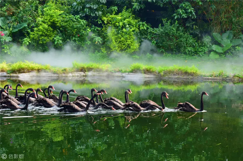 长隆欢乐世界旅游攻略景点必去（三天三夜欢乐长隆之旅）