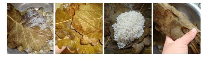 端午百科：年年吃粽子，粽叶是什么植物的叶子？天南海北不一样！