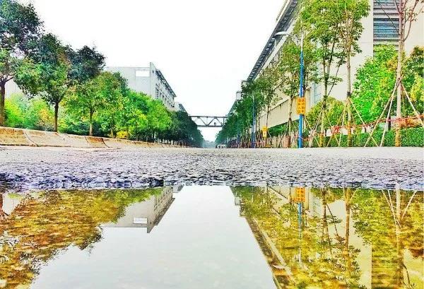 志愿填报进行时！选择西安外国语大学，10个理由就足够