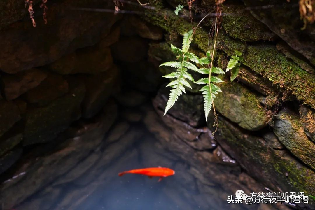 天台国清寺｜一念三千，风约孤萤落砌间