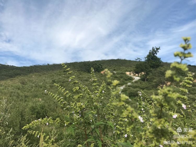 夏日登山汗如泉