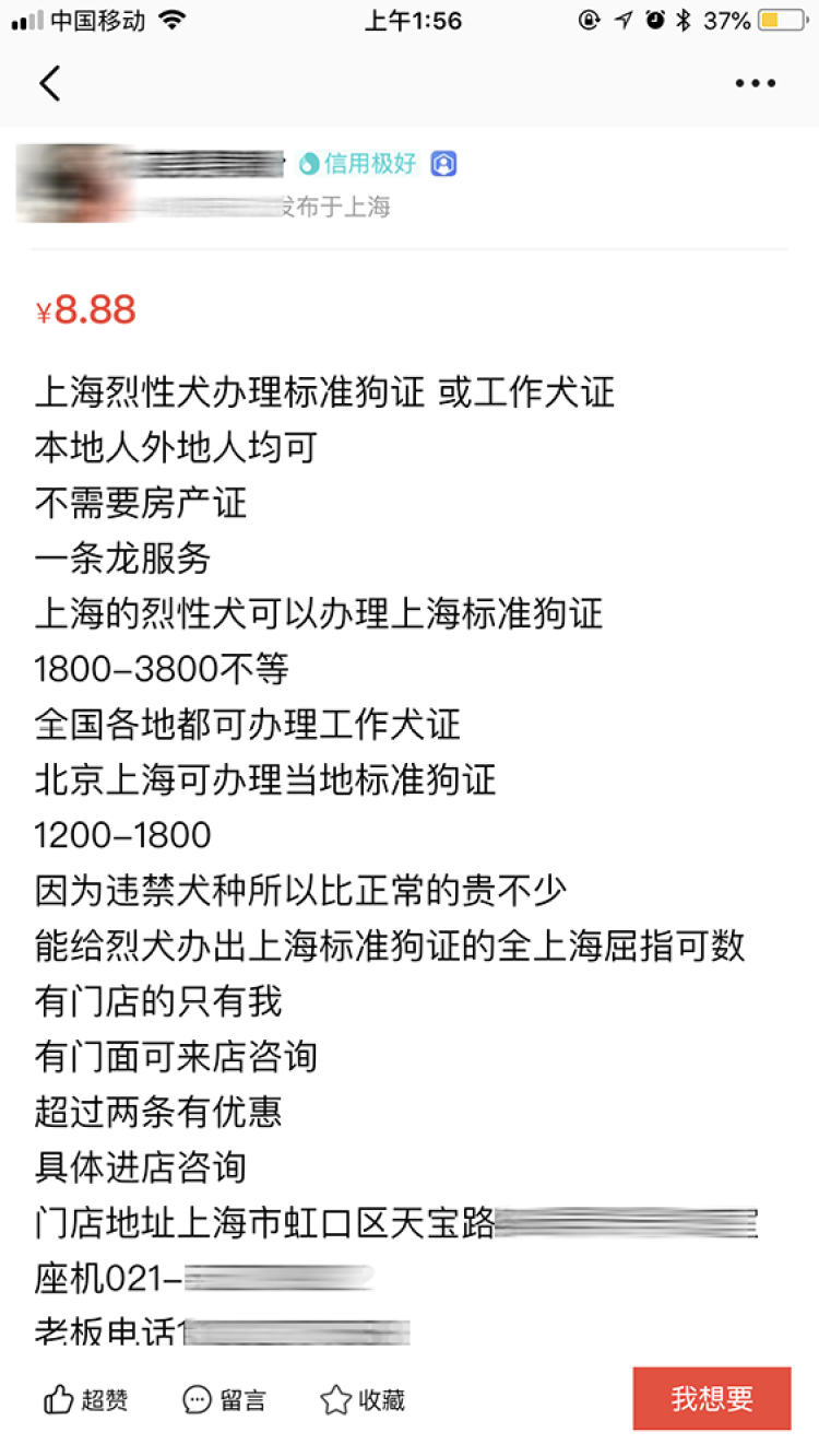 申晨间  | 3800元！有人在闲鱼公开叫卖“为上海烈性犬办正规狗证”