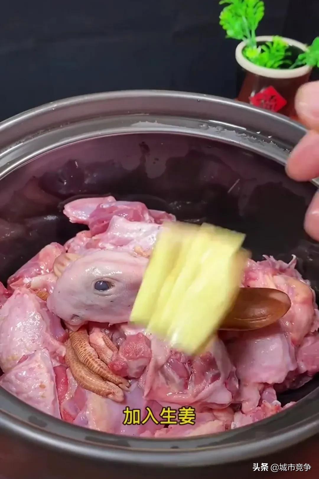 老鸭汤的做法(老鸭汤的做法和配料)