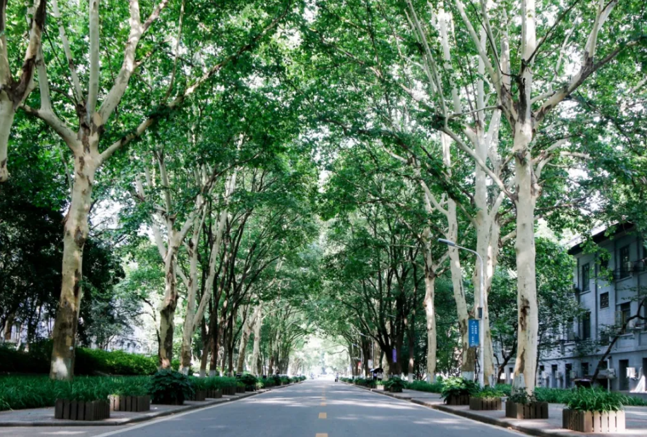 武汉有哪些知名大学？看完想重新再读一次