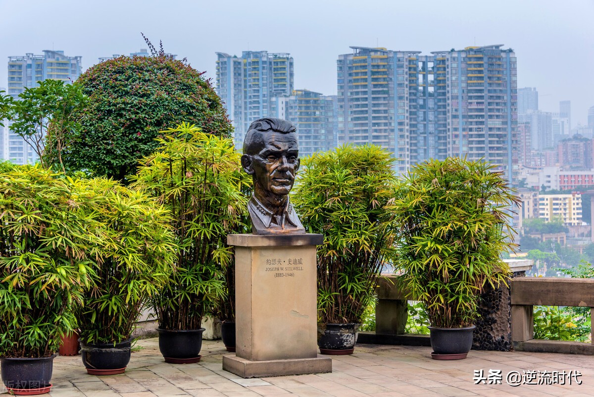 西南大学组建医学院（重大医学院并入华西后）