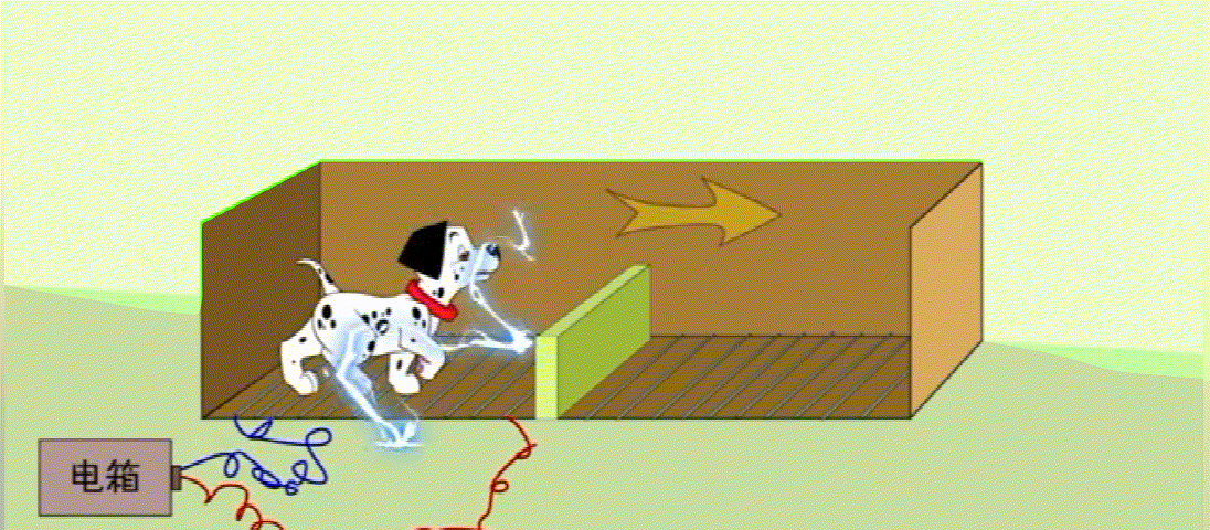 当减肥失败遭遇“破罐子破摔”？陷入习得性无助？6个技巧交给你