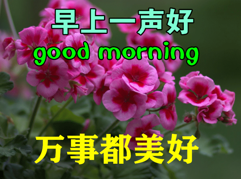 11月6日特别漂亮早上好祝福动态图片大全，深秋早晨好美图大全