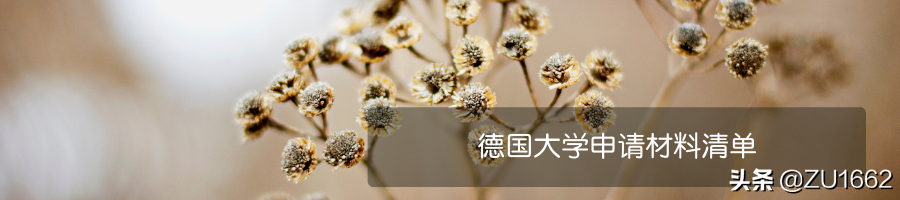 DIY申请德国大学，你也可以，只是需要注意这几点