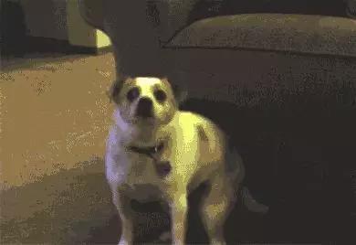 这就是做财务的你…哈哈哈哈哈