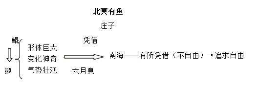 北冥有鱼文言现象(一文详解文言文北冥有鱼)