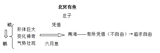 北冥有鱼文言现象（一文详解文言文北冥有鱼）