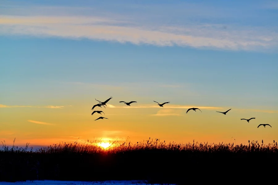 高考作文评分标准全解: 胸中已有丘壑，作文一路高歌
