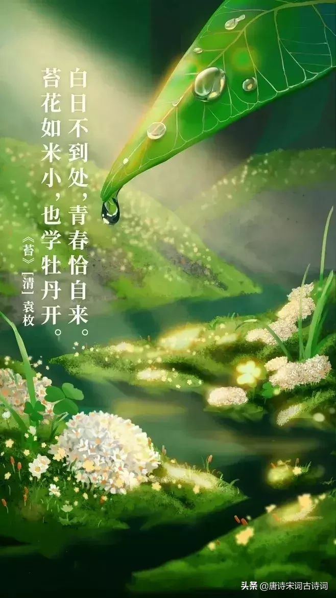 励志诗词:艰难困苦有时尽,人生没有过不去的坎