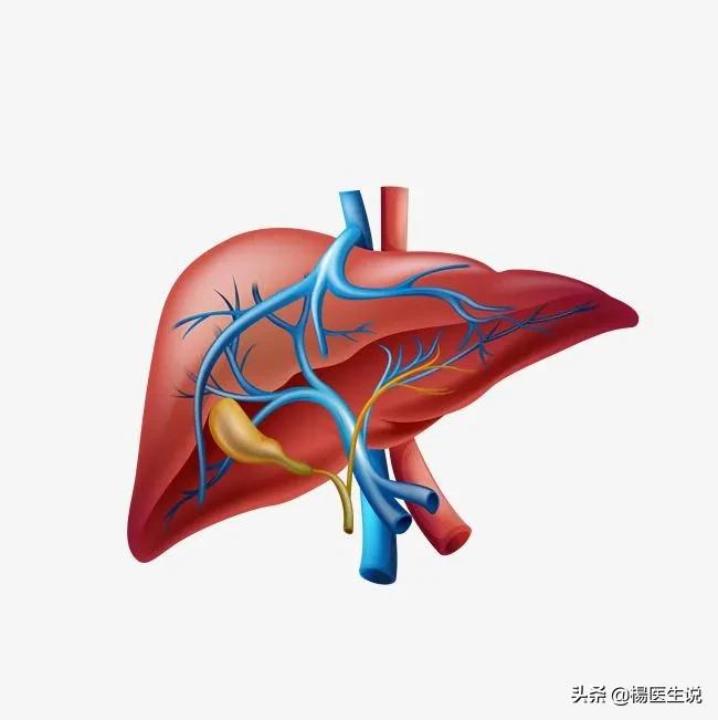 500多块的全套生化，有必要做吗？一次性说清楚了！