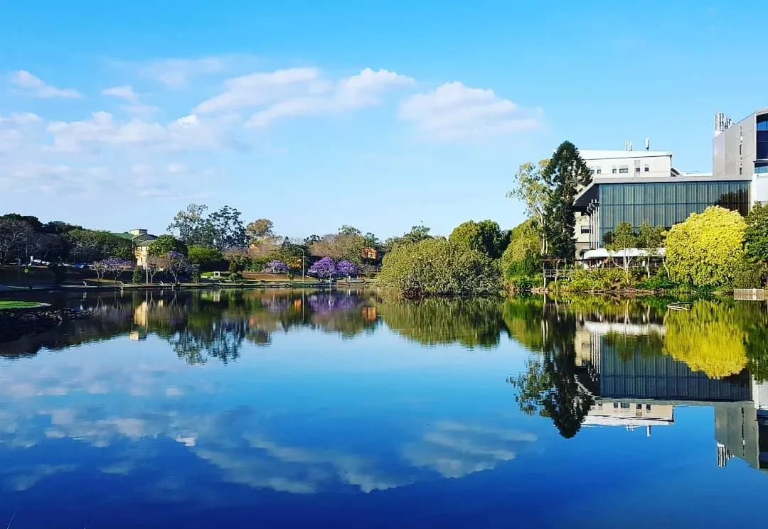在世界排名TOP50的昆士兰大学读书是一种怎样的体验？
