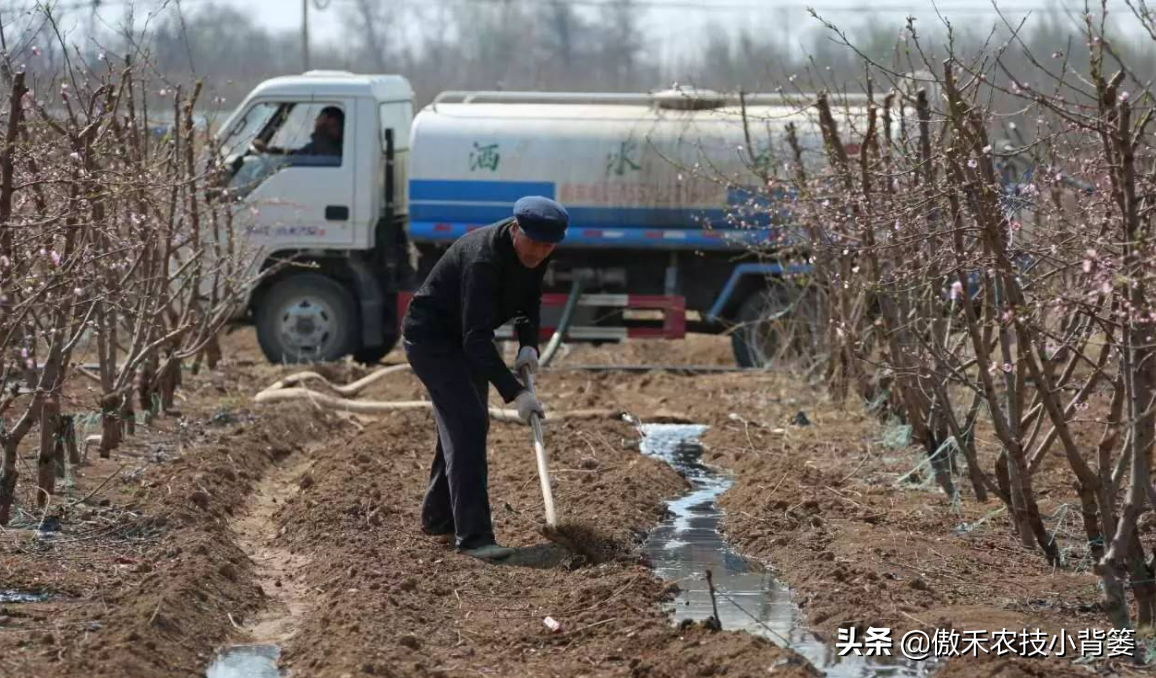 氯化铵是酸性还是碱性（氯化铵使用的7个注意事项）