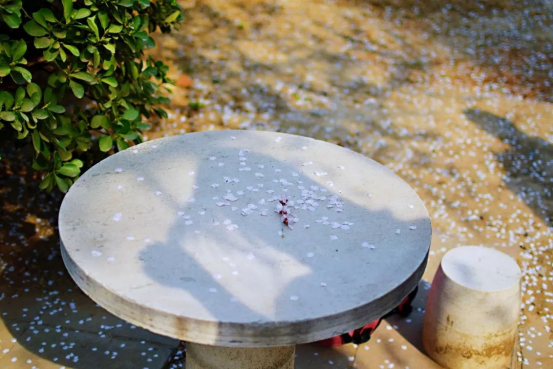 优秀！北京这所高校：走出外交部发言人、联合国发言人，直属教育部！