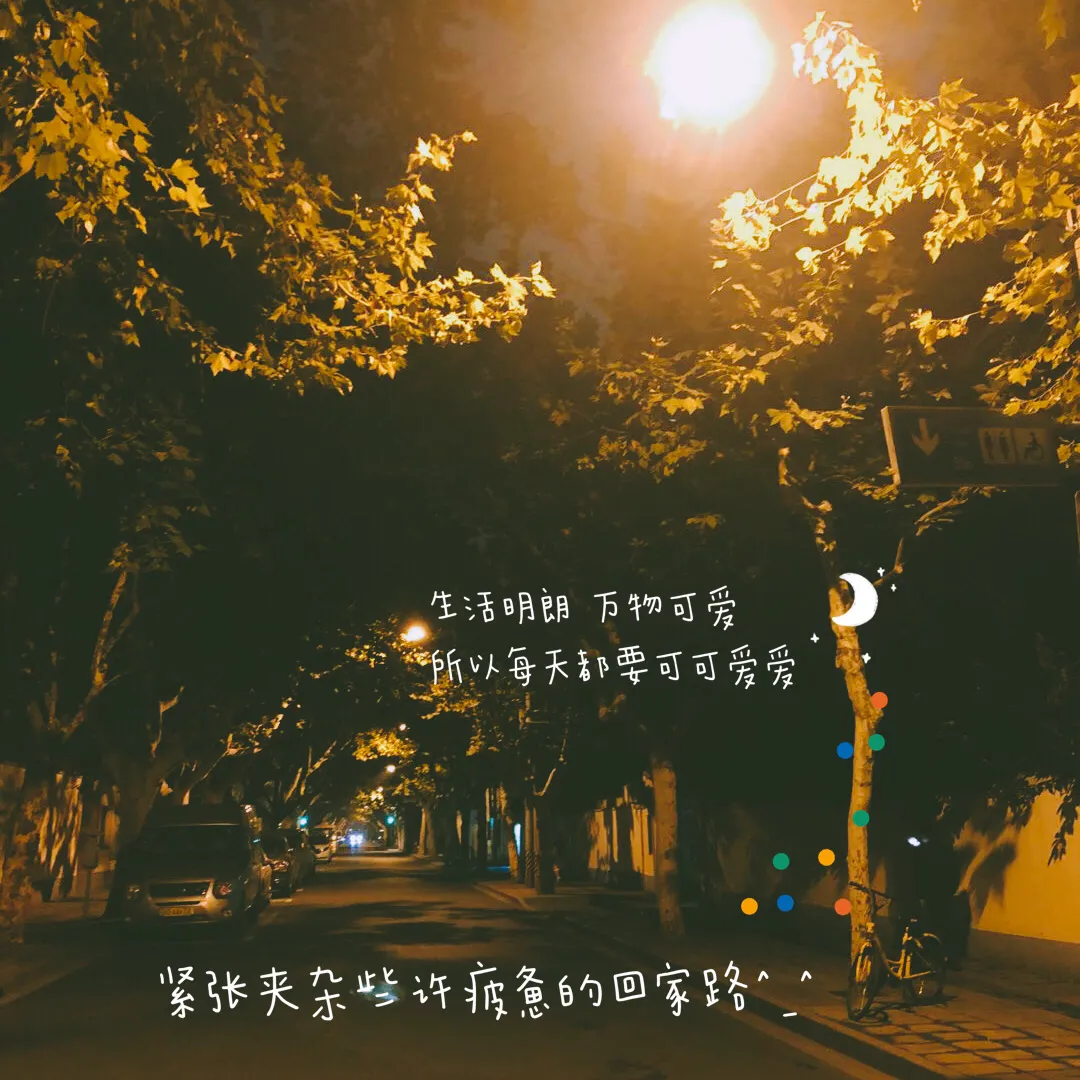 深圳X银行实习日记--(四)